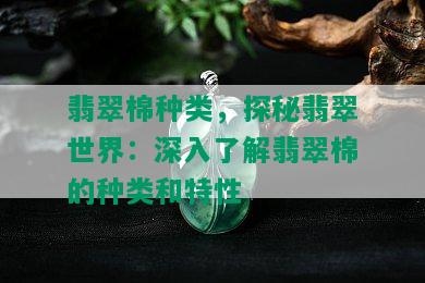 翡翠棉种类，探秘翡翠世界：深入了解翡翠棉的种类和特性