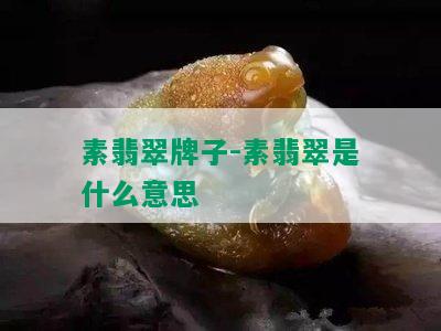 素翡翠牌子-素翡翠是什么意思