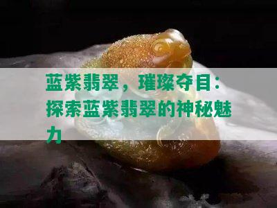 蓝紫翡翠，璀璨夺目：探索蓝紫翡翠的神秘魅力