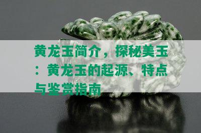 黄龙玉简介，探秘美玉：黄龙玉的起源、特点与鉴赏指南