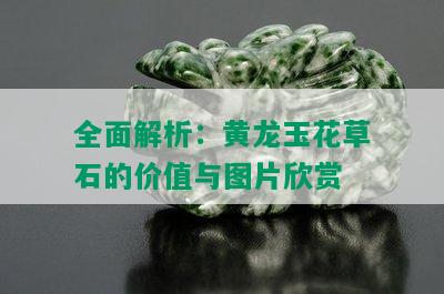 全面解析：黄龙玉花草石的价值与图片欣赏