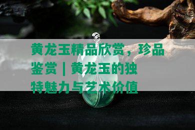 黄龙玉精品欣赏，珍品鉴赏 | 黄龙玉的独特魅力与艺术价值