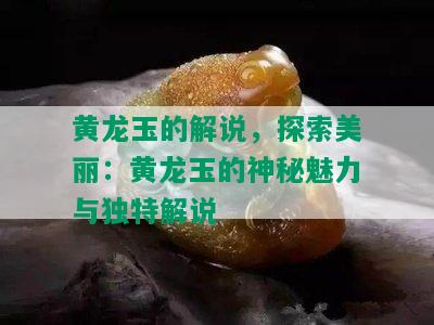 黄龙玉的解说，探索美丽：黄龙玉的神秘魅力与独特解说