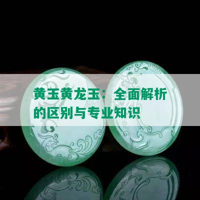 黄玉黄龙玉：全面解析的区别与专业知识