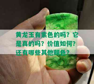 黄龙玉有紫色的吗？它是真的吗？价值如何？还有哪些其他颜色？