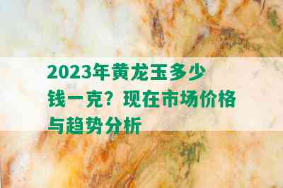 2023年黄龙玉多少钱一克？现在市场价格与趋势分析