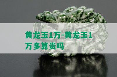 黄龙玉1万-黄龙玉1万多算贵吗