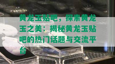 黄龙玉贴吧，探索黄龙玉之美：揭秘黄龙玉贴吧的热门话题与交流平台