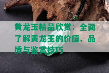 黄龙玉精品欣赏：全面了解黄龙玉的价值、品质与鉴赏技巧