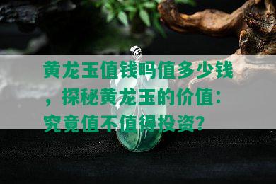 黄龙玉值钱吗值多少钱，探秘黄龙玉的价值：究竟值不值得投资？