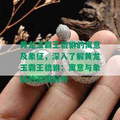 黄龙玉霸王貔貅的寓意及象征，深入了解黄龙玉霸王貔貅：寓意与象征的深度解析