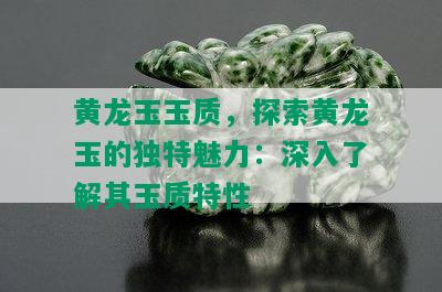 黄龙玉玉质，探索黄龙玉的独特魅力：深入了解其玉质特性