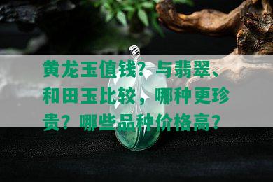 黄龙玉值钱？与翡翠、和田玉比较，哪种更珍贵？哪些品种价格高？