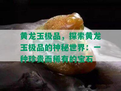 黄龙玉极品，探索黄龙玉极品的神秘世界：一种珍贵而稀有的宝石