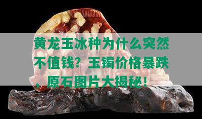 黄龙玉冰种为什么突然不值钱？玉镯价格暴跌，原石图片大揭秘！