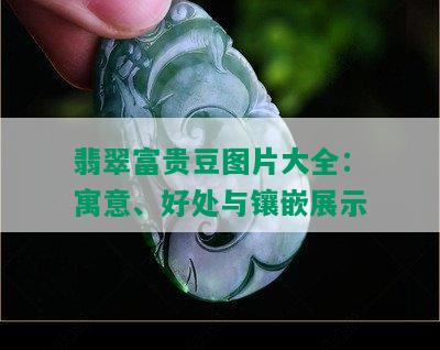 翡翠富贵豆图片大全：寓意、好处与镶嵌展示