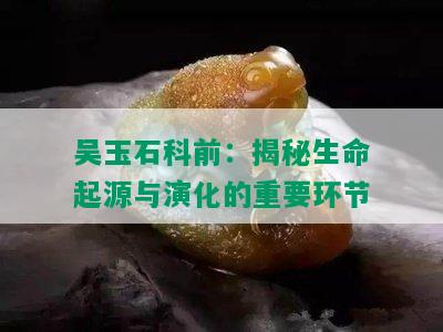 吴玉石科前：揭秘生命起源与演化的重要环节