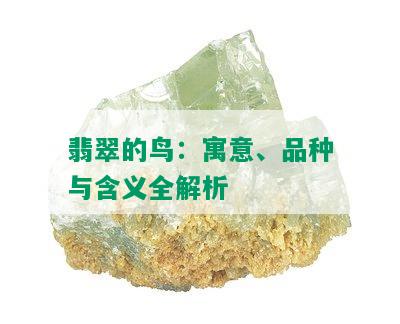 翡翠的鸟：寓意、品种与含义全解析