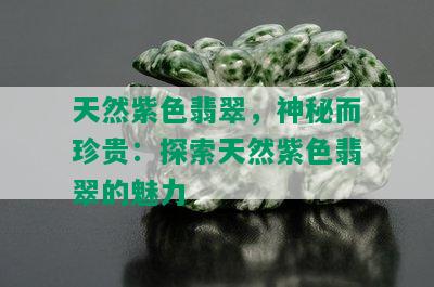 天然紫色翡翠，神秘而珍贵：探索天然紫色翡翠的魅力