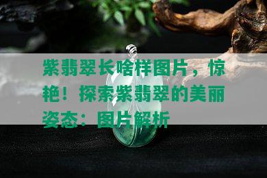 紫翡翠长啥样图片，惊艳！探索紫翡翠的美丽姿态：图片解析