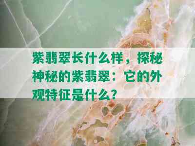 紫翡翠长什么样，探秘神秘的紫翡翠：它的外观特征是什么？