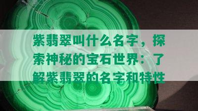 紫翡翠叫什么名字，探索神秘的宝石世界：了解紫翡翠的名字和特性