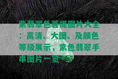 紫翡翠色菩提图片大全：高清、大图、及颜色等级展示，紫色翡翠手串图片一览