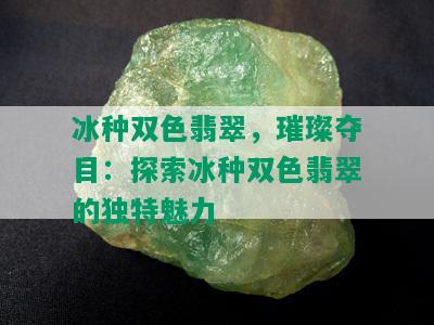 冰种双色翡翠，璀璨夺目：探索冰种双色翡翠的独特魅力