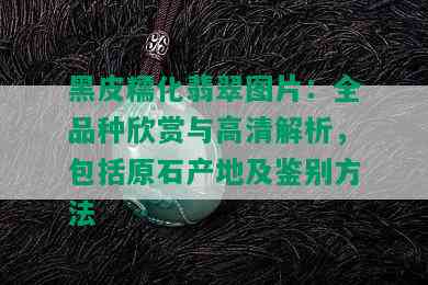 黑皮糯化翡翠图片：全品种欣赏与高清解析，包括原石产地及鉴别方法