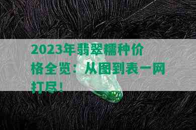 2023年翡翠糯种价格全览：从图到表一网打尽！