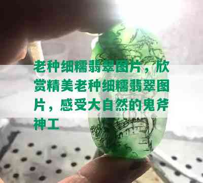 老种细糯翡翠图片，欣赏精美老种细糯翡翠图片，感受大自然的鬼斧神工