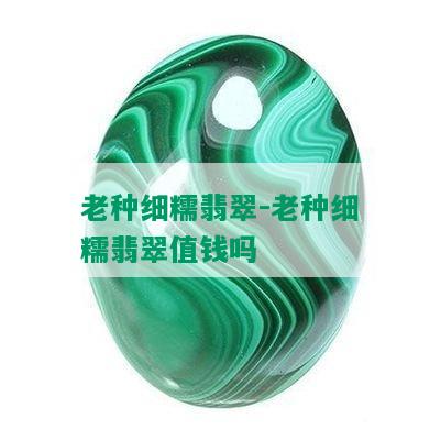 老种细糯翡翠-老种细糯翡翠值钱吗