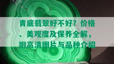 青底翡翠好不好？价格、美观度及保养全解，附高清图片与品种介绍