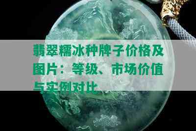 翡翠糯冰种牌子价格及图片：等级、市场价值与实例对比