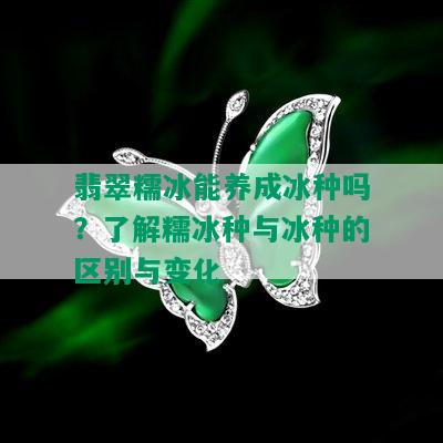 翡翠糯冰能养成冰种吗？了解糯冰种与冰种的区别与变化