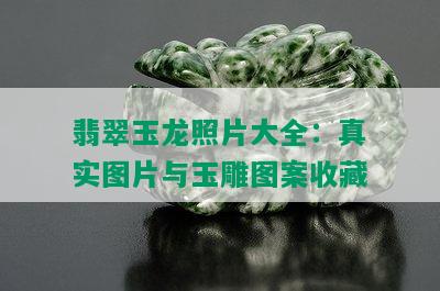 翡翠玉龙照片大全：真实图片与玉雕图案收藏