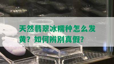 天然翡翠冰糯种怎么发黄？如何辨别真假？