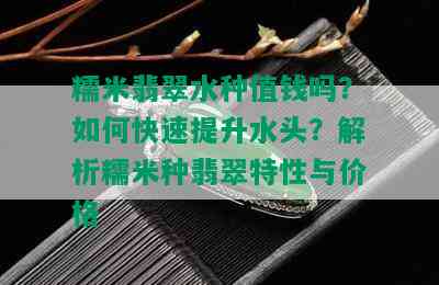 糯米翡翠水种值钱吗？如何快速提升水头？解析糯米种翡翠特性与价格