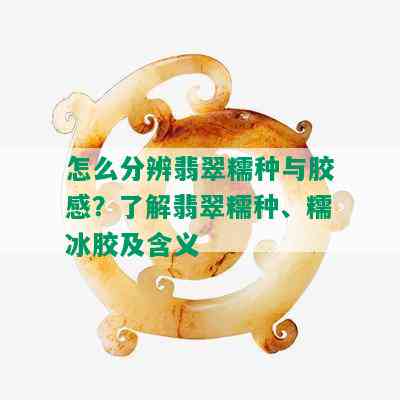 怎么分辨翡翠糯种与胶感？了解翡翠糯种、糯冰胶及含义