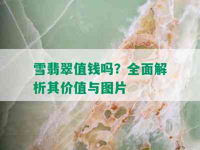 雪翡翠值钱吗？全面解析其价值与图片