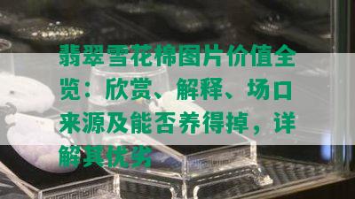 翡翠雪花棉图片价值全览：欣赏、解释、场口来源及能否养得掉，详解其优劣