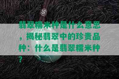 翡翠糯米种是什么意思，揭秘翡翠中的珍贵品种：什么是翡翠糯米种？