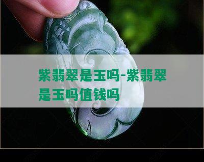 紫翡翠是玉吗-紫翡翠是玉吗值钱吗