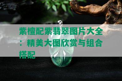 紫檀配紫翡翠图片大全：精美大图欣赏与组合搭配