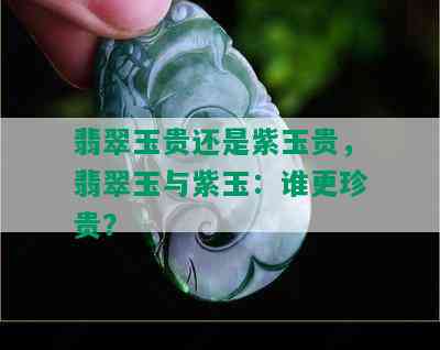 翡翠玉贵还是紫玉贵，翡翠玉与紫玉：谁更珍贵？