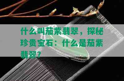 什么叫茄紫翡翠，探秘珍贵宝石：什么是茄紫翡翠？