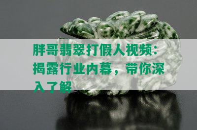 胖哥翡翠打假人视频：揭露行业内幕，带你深入了解