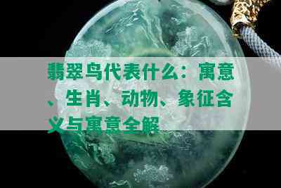 翡翠鸟代表什么：寓意、生肖、动物、象征含义与寓意全解