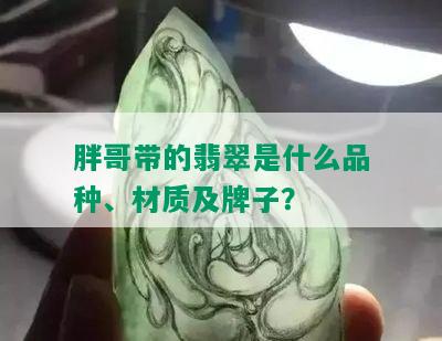 胖哥带的翡翠是什么品种、材质及牌子？