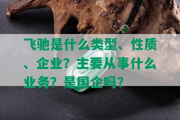 飞驰是什么类型、性质、企业？主要从事什么业务？是国企吗？